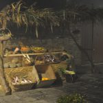 DSC_0051 (2)