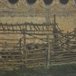 DSC_0061 (2)