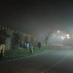 DSC_0066 (2)