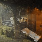 DSC_0085 (2)