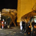 DSC_0086 (2)