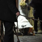 DSC_0099 (2)