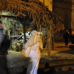 DSC_0112 (2)