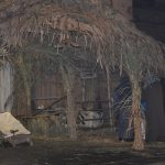 DSC_0113 (2)