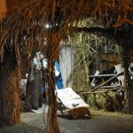 DSC_0117 (2)
