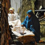 DSC_0129 (2)
