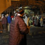 DSC_0142 (2)