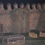 DSC_0155 (2)