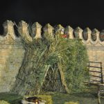 DSC_0156 (2)