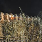 DSC_0157 (2)