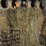 DSC_0160 (2)