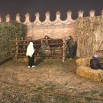 IMG_0091 (2)