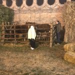 IMG_0092 (2)