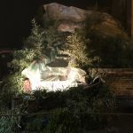 IMG_0106 (2)