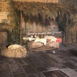 IMG_0115 (2)