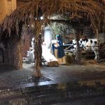 IMG_0142 (2)