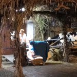 IMG_0146 (2)