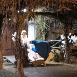 IMG_0147 (2)