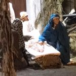 IMG_0156 (2)