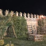 IMG_0188 (2)