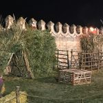 IMG_0190 (2)