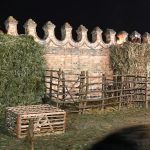 IMG_0193 (2)