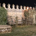 IMG_0194 (2)