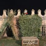 IMG_0195 (2)